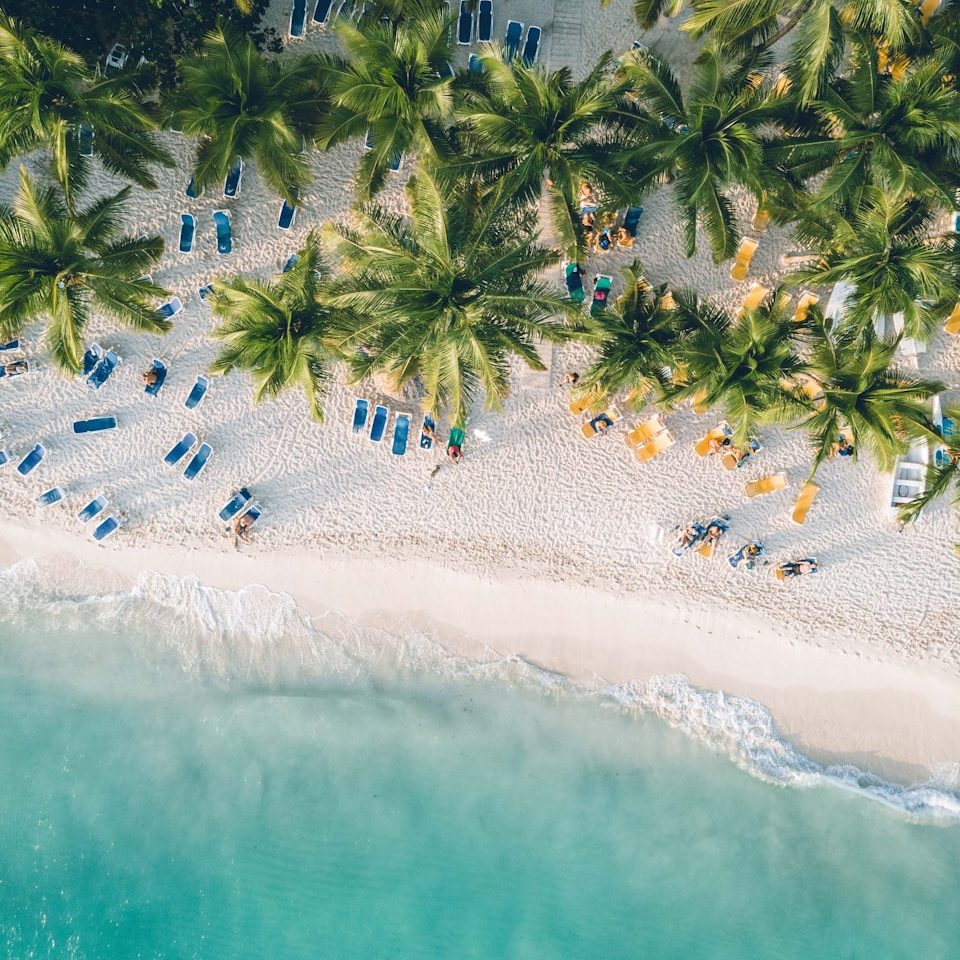 an aerial view of a beach with chairs and palm trees