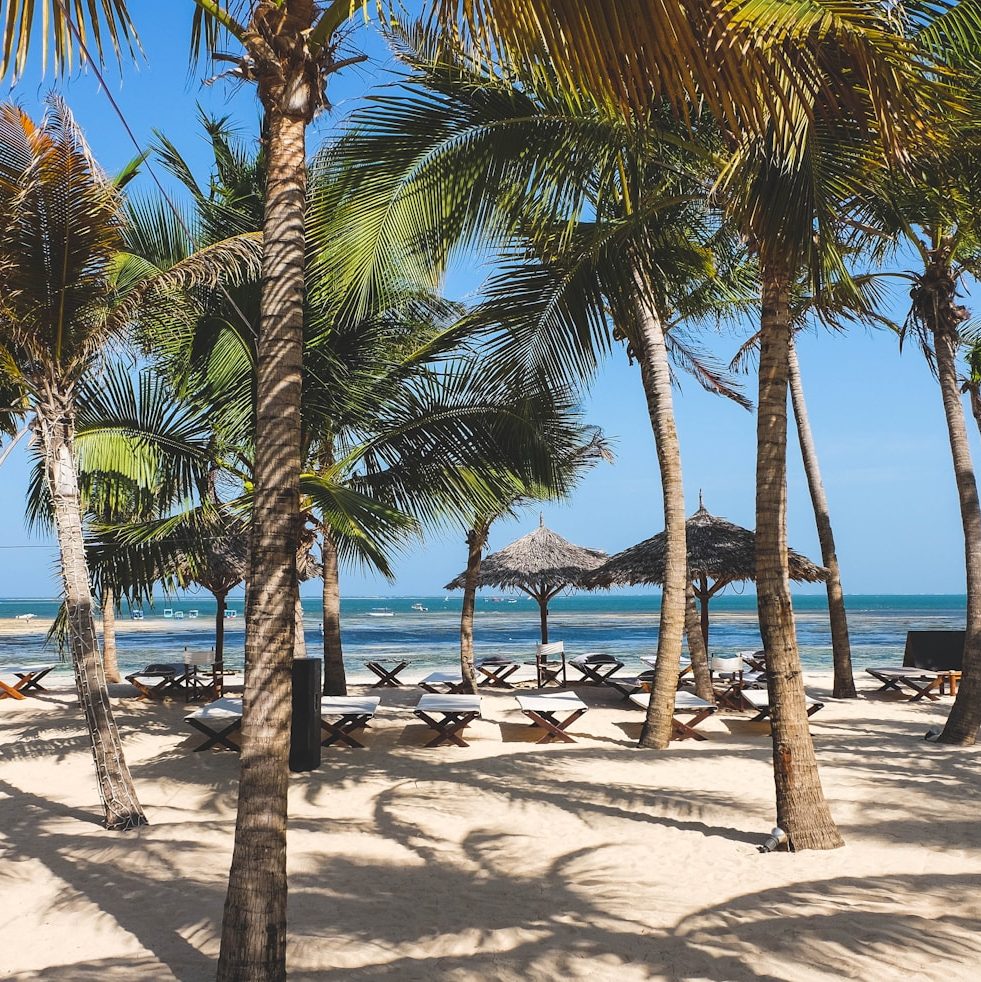 a sandy beach with palm trees and chairs