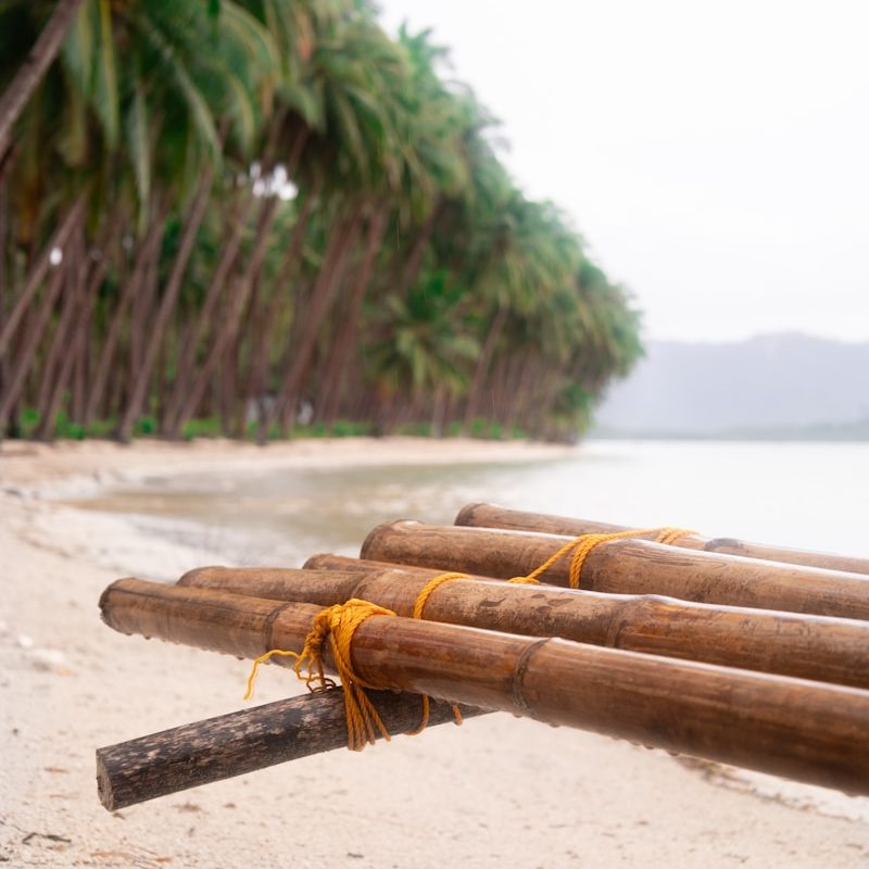 a bunch of bamboo sticks sitting on top of a sandy beach