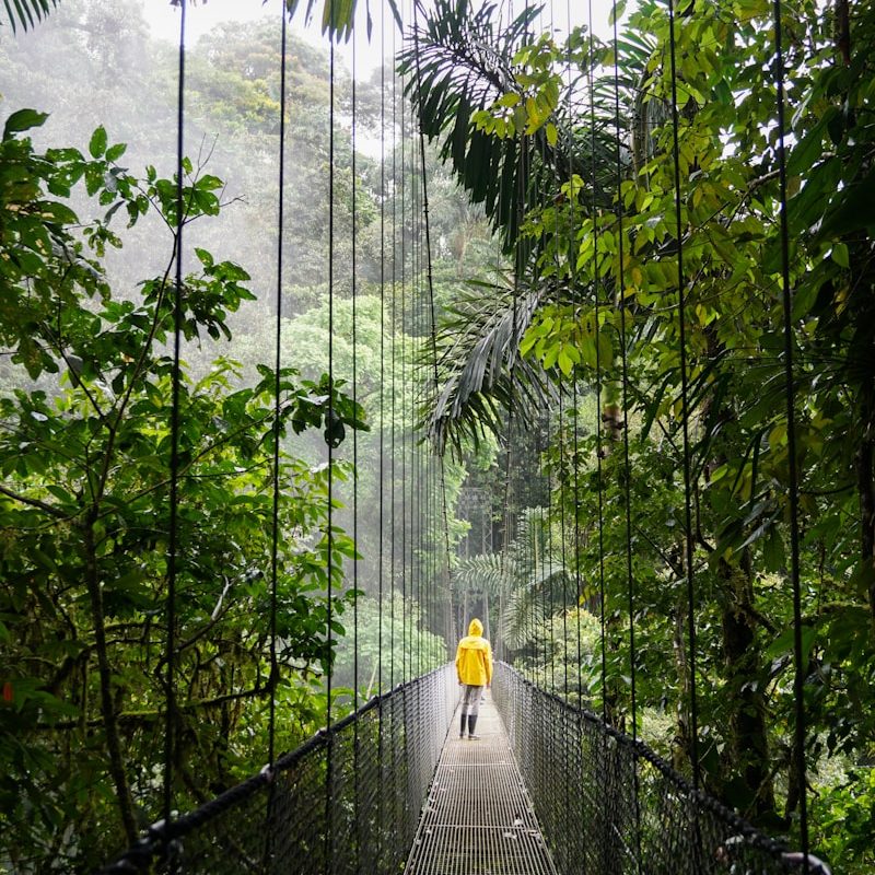 person in yellow jacket standing on hanging bridge